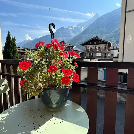 Studio Centre Chamonix2 * Chamonix
